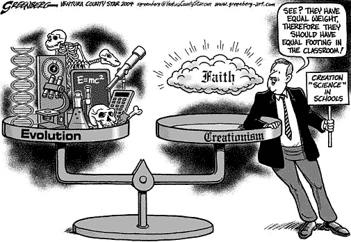 See? They have equal weight, therefore they should have equal footing in the classroom! 
