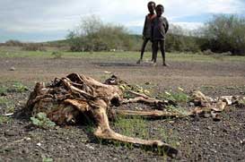 Drought in&nbsp;Africa