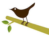 Tweet Bird